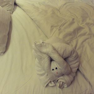 Meet your Posher, Paula